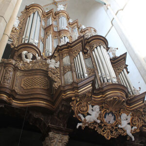 Excursion Saturday 25 July